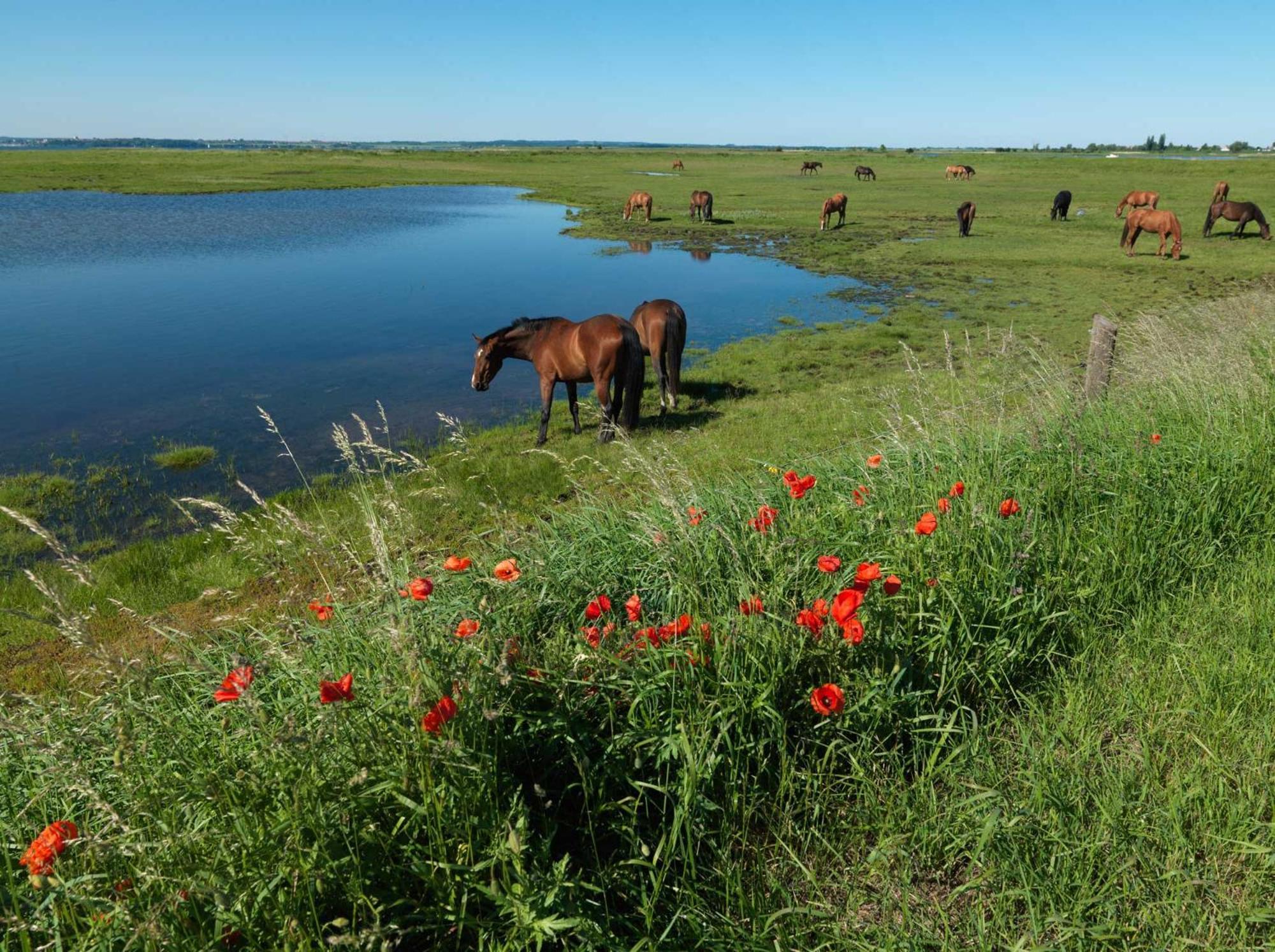 Апартаменты Gollwitzer Park Oase Остров Пёль Экстерьер фото